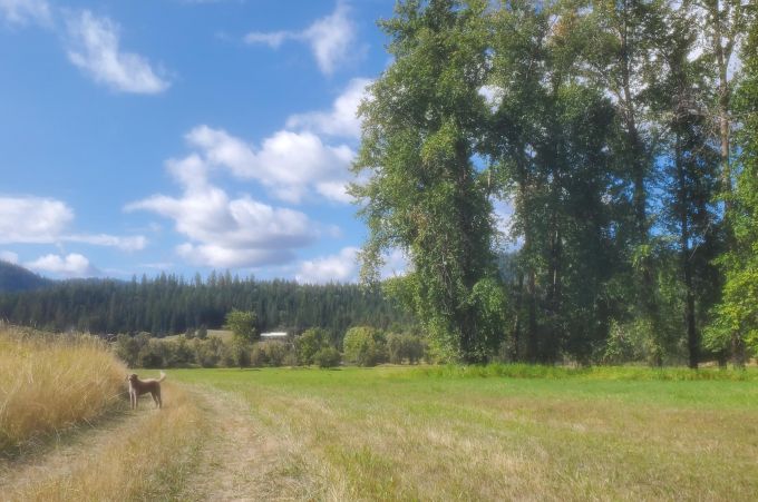 Property thumbnail 15