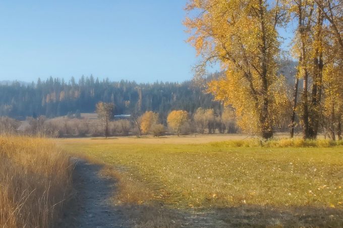 Property thumbnail 1