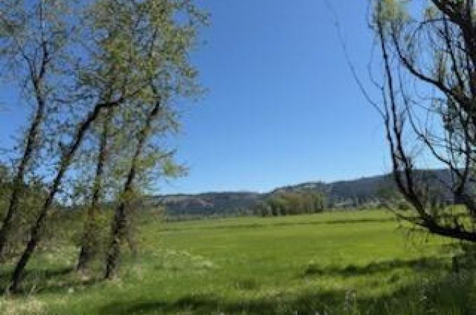Property thumbnail 1