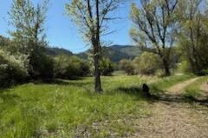 Property thumbnail 6