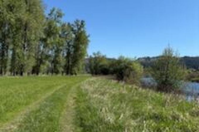 Property thumbnail 8