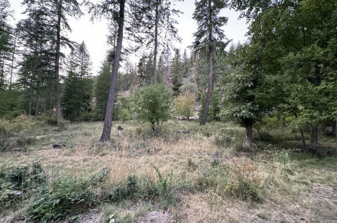 Property thumbnail 41