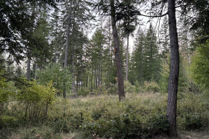 Property thumbnail 48