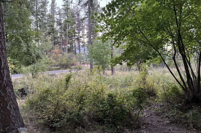 Property thumbnail 49