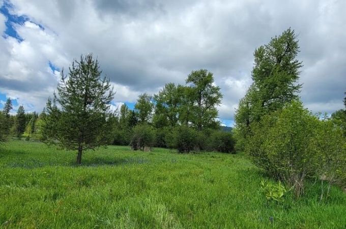 Property thumbnail 12