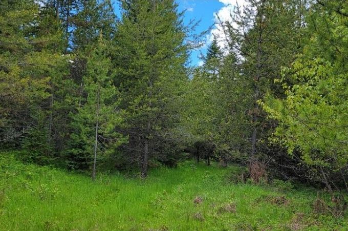 Property thumbnail 13