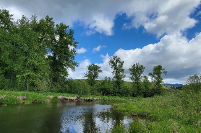 Property thumbnail 18