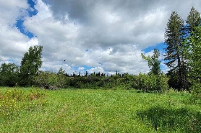 Property thumbnail 9