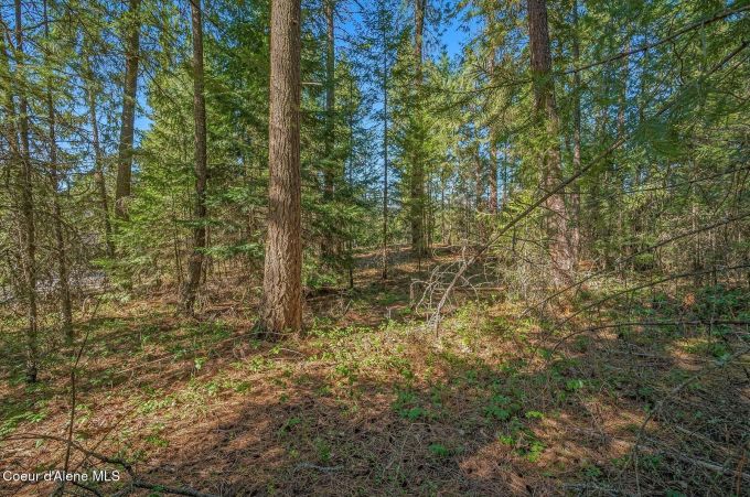 Property thumbnail 18