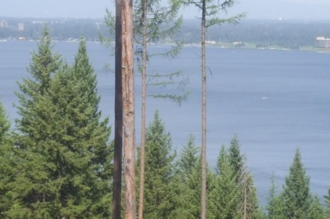 Property thumbnail 4