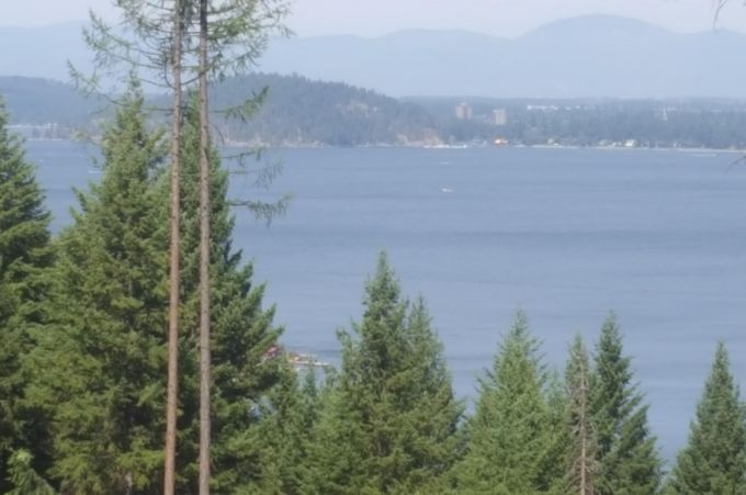 Property thumbnail 6