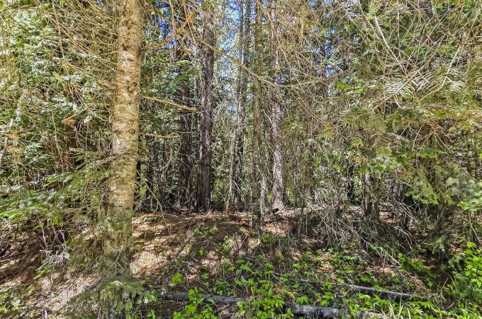Property thumbnail 18