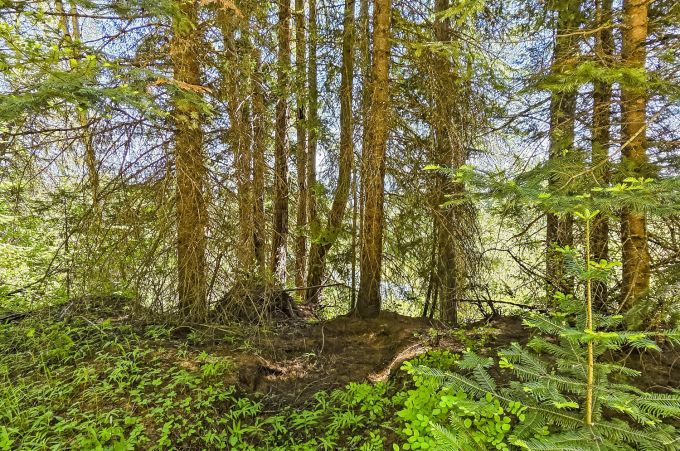 Property thumbnail 20