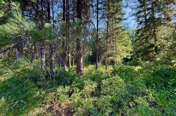 Property thumbnail 22