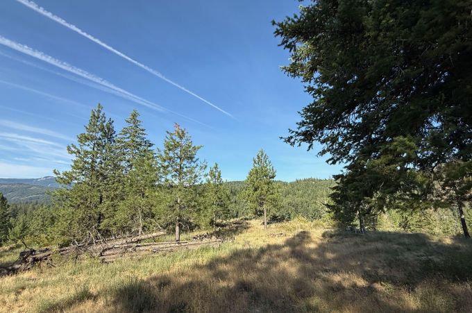 Property thumbnail 24