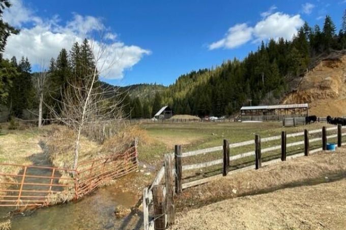 Property thumbnail 13