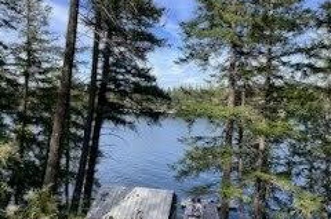 Property thumbnail 21