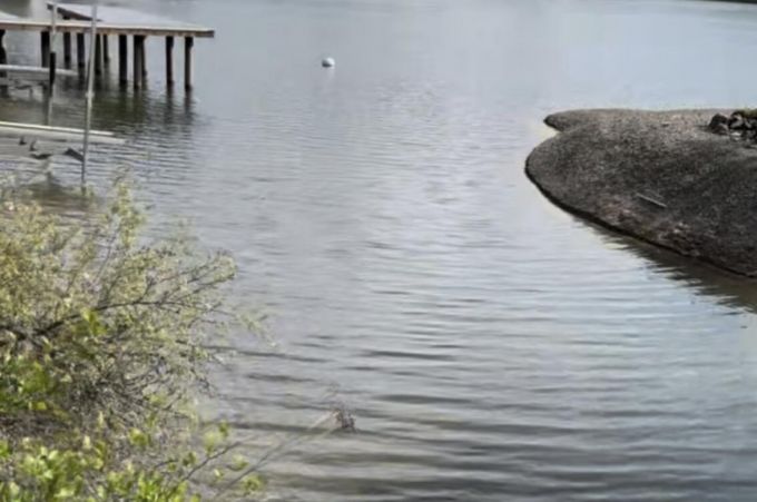 Property thumbnail 16
