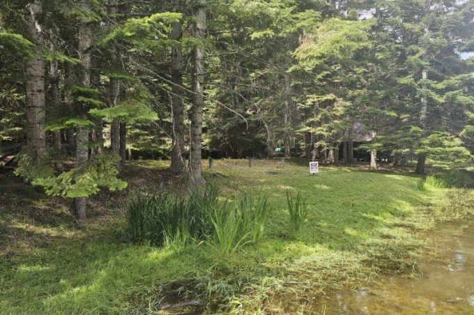 Property thumbnail 23