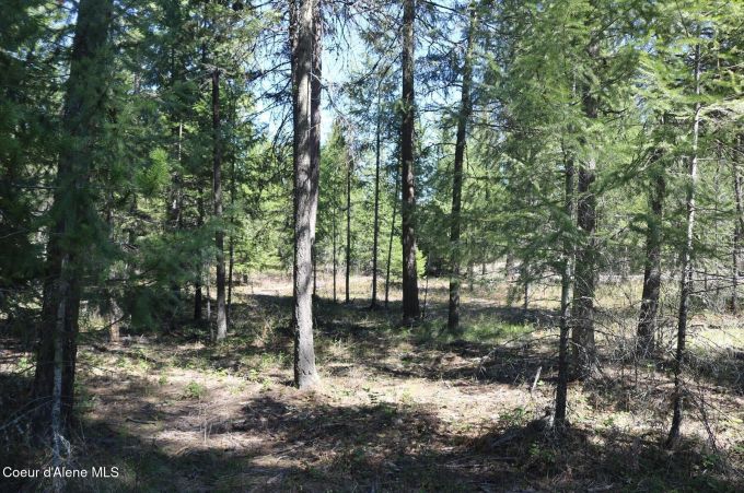 Property thumbnail 14
