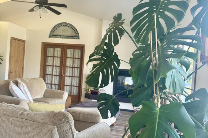 Property thumbnail 10