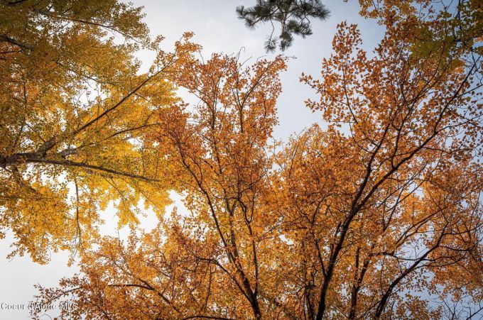 Property thumbnail 80