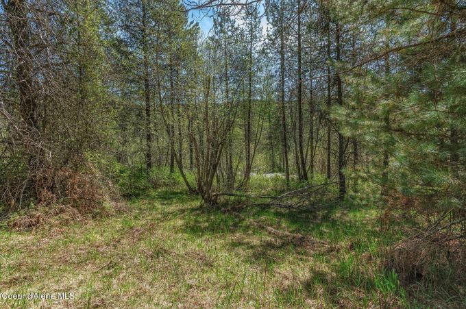 Property thumbnail 19