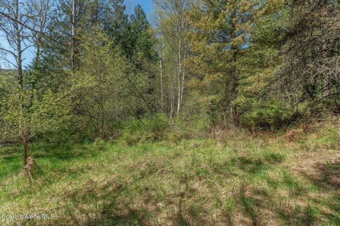 Property thumbnail 29
