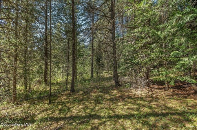 Property thumbnail 31