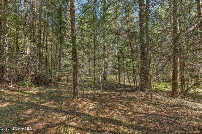 Property thumbnail 37