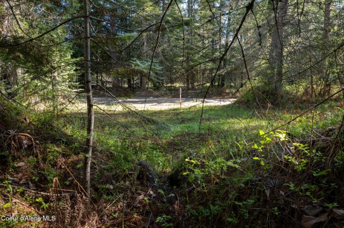 Property thumbnail 18