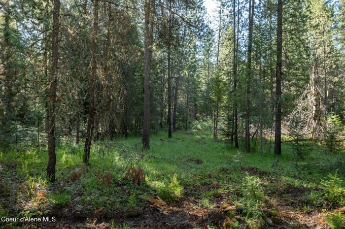 Property thumbnail 19