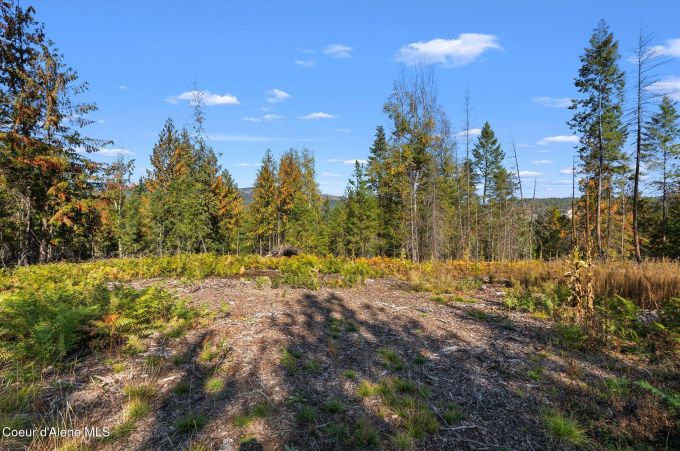 Property thumbnail 28