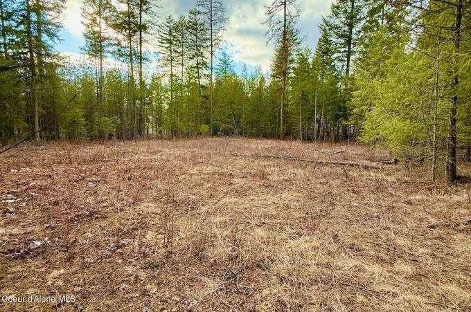 Property thumbnail 16