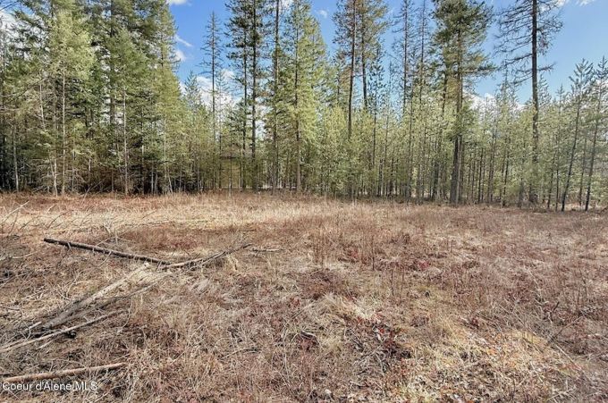 Property thumbnail 18