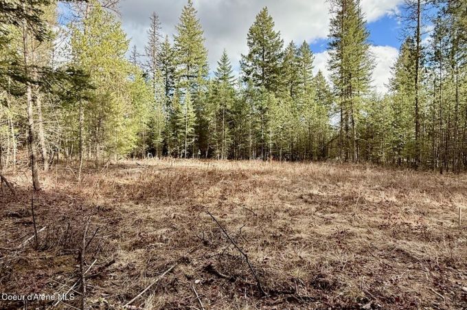 Property thumbnail 19