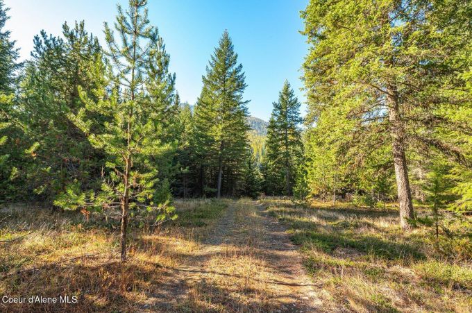 Property thumbnail 12