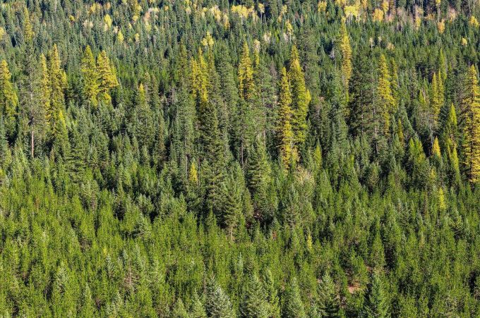 Property thumbnail 19