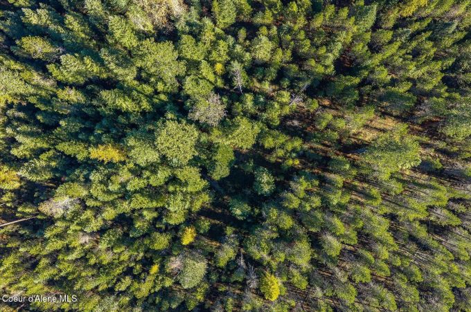 Property thumbnail 21