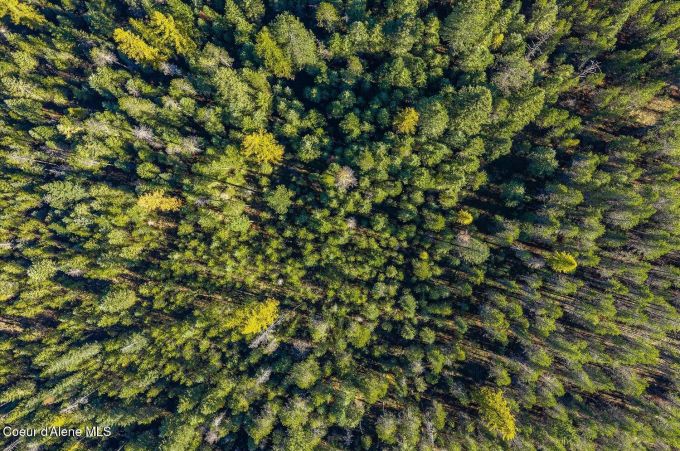 Property thumbnail 22