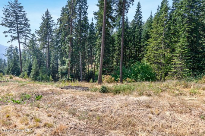 Property thumbnail 21