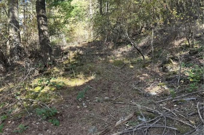 Property thumbnail 4