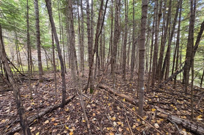 Property thumbnail 17