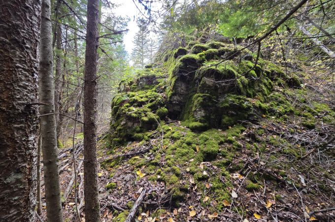 Property thumbnail 18