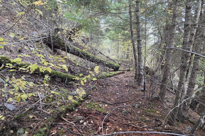 Property thumbnail 19