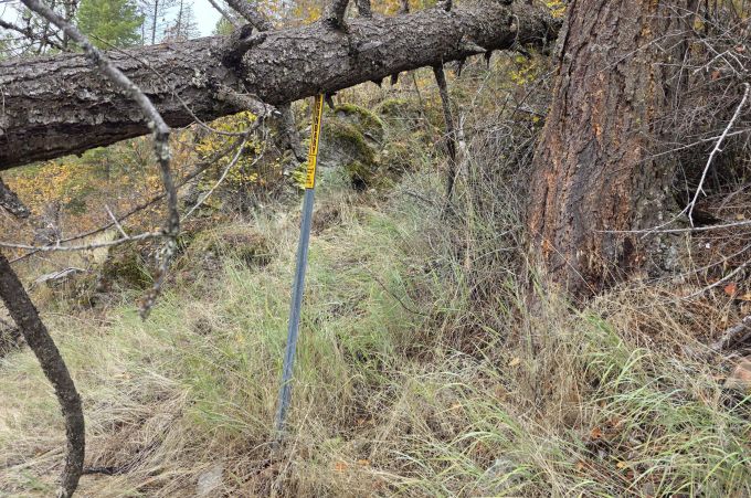 Property thumbnail 26