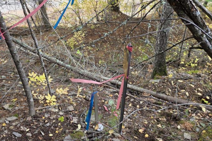 Property thumbnail 27