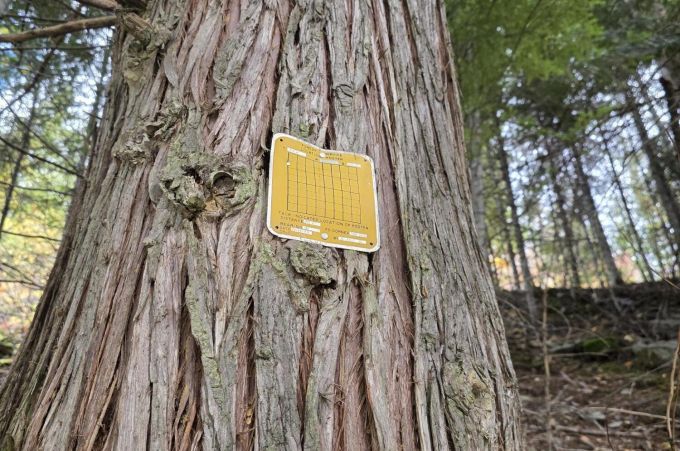 Property thumbnail 29