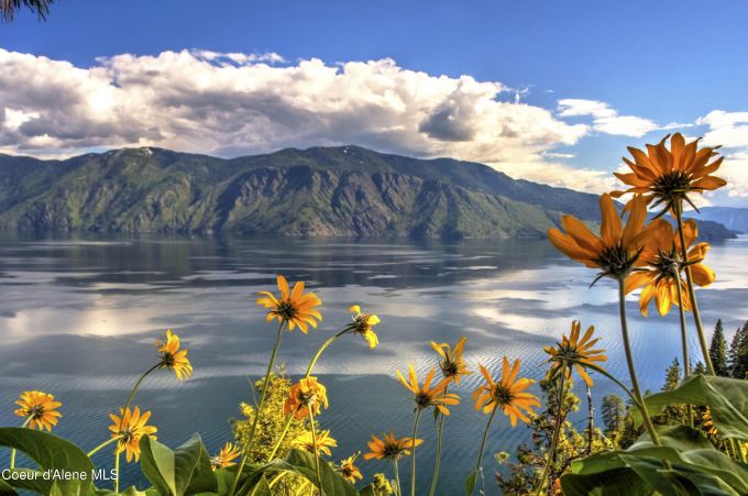 Property thumbnail 77