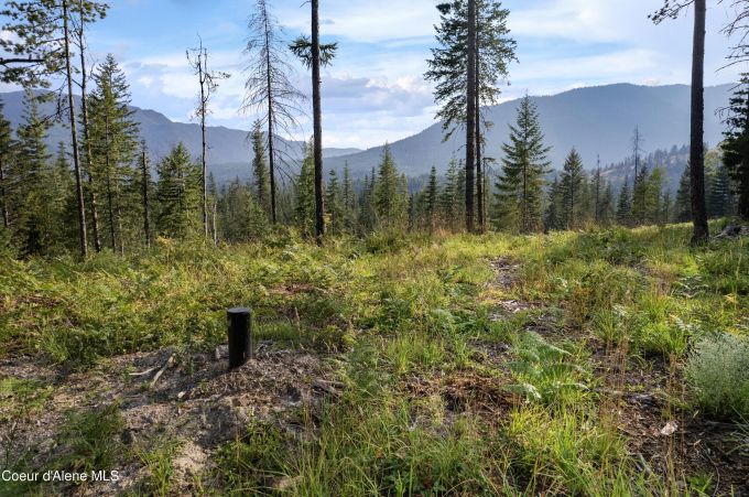 Property thumbnail 17